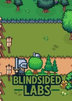 Blindsided Labs
