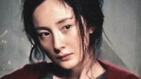 《酱园弄悬案》票房突破2亿！助杨幂主演票房破80亿