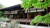 美国游客为破坏日本寺庙道歉：一生中最大的错误
