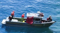 美国一游船遇风暴翻覆8人死亡 外卖巨头高管遇难