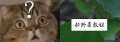 80万B站网友，正在跟一个农民学如何拉屎？