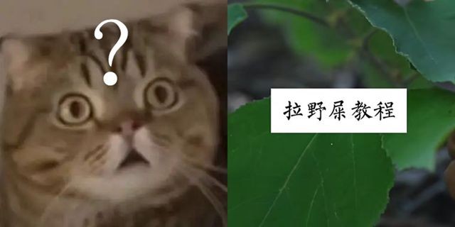 80万B站网友，正在跟一个农民学如何拉屎？