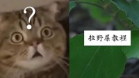 80万B站网友，正在跟一个农民学如何拉屎？