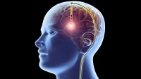 研究称电击大脑可提高数学成绩：该技术或很快能家用