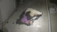 男子新买的手机充电器没拔 回家发现卧室烧了