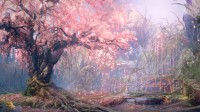 狂野之心S新设定图公开！和风美景的别样风味！