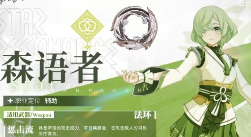《星痕共鸣》全职业流派玩法介绍