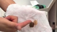 粪水管接错致自来水污染？水务公司辟谣 但居民不信