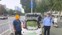 山东