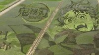 日本稻田艺术展打造鬼灭之刃主题 灶门炭治郎很炫酷