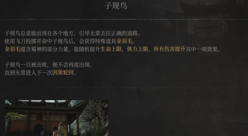 《明末：渊虚之羽》子规鸟介绍
