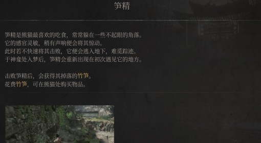 《明末：渊虚之羽》笋精介绍