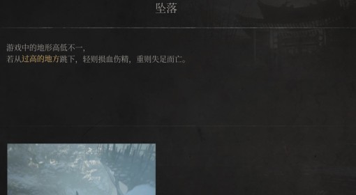 《明末：渊虚之羽》坠落介绍
