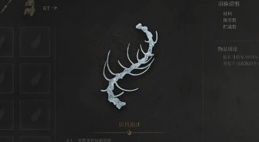 《明末：渊虚之羽》10个羽族遗骸收集攻略