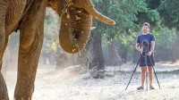39岁富豪CEO被6吨重公象踩踏身亡 袭击持续了30秒