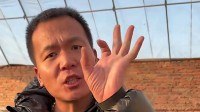 潘宏发布两条接狗新规则 宣布正式回归