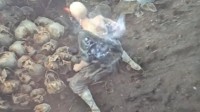 老外讨论《明末》
