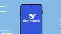 DeepSeek真凉了吗？业内人士：飞入寻常百姓家