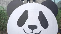 大熊猫保护研究中心：抵制饭圈文化