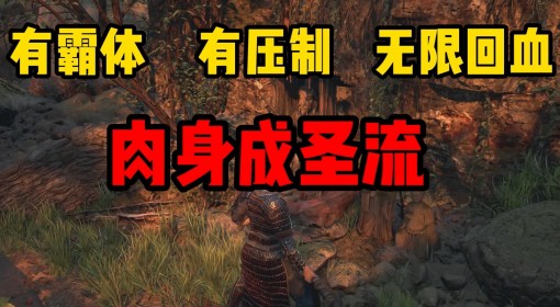 《明末：渊虚之羽》肉身成圣流构筑分享