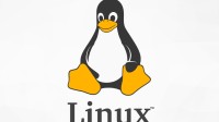 无端遭遇“人身攻击”！Linux开发者心灰意冷