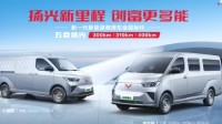 新能源轻客市场第一 五菱扬光家族上新2025款