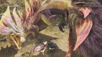 《怪猎荒野》挑战任务奖励饰物发放：你打到A级了吗?