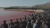 《南京照相馆》总票房破20亿！勿忘国耻 推荐去看