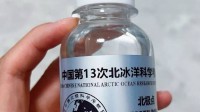 闲鱼现