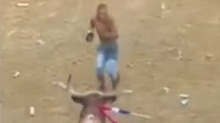哥伦比亚男子跳牛失误撞上牛角 颈部被刺中数秒后身亡