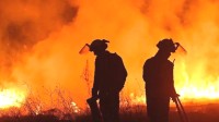 西班牙高温逼近50℃ 地中海多国致命热浪引发山火