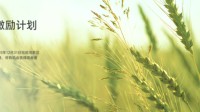 华为鸿蒙应用开发者激励计划2025 最高600万元封顶