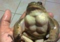 将身子丰满解构为魅力+5 x压抑转为动力的囧图