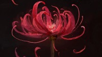 B站公开国产ARPG新作神秘图片！这花是什么意思？