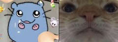 哈基米音乐的全民化，离不开可爱的鼠鼠人？
