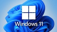 Win11更新爆发大规模SSD故障:多品牌中招 别传大文件