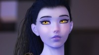 N网下载成人Mod即将要验证年龄！首先是这一地区