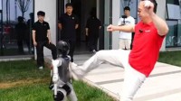 周鸿祎再次脚踹人形机器人：1.2米高N2被踹倒后躺平