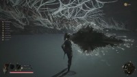 数据挖掘显示《明末》有入侵联机机制！后续更新？