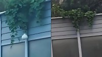 沈阳二环高架葫芦丢失事件当事人道歉：被记9分