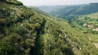 9年种下6.19亿棵树!蚂蚁集团为种树累计捐资已超45亿