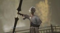 《失落之魂》BOSS战实机：狂风起兮风师伯