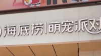 海底捞开首家萌宠门店！非禁养且接种疫苗宠物可入内