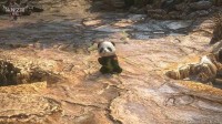 《流放之路2》国服预购倒计时！专属灵兽即将绝版