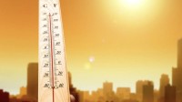 创百年纪录！上海今夏连续高温日已达25天