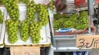 葡萄界“爱马仕”不贵了 阳光玫瑰沦为10元3斤