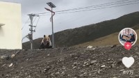 高速服务区充电桩被告知无法使用：有只狗熊一直守着