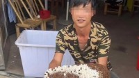 因户外寻蜂出名的网红瑶族建哥 被马蜂蜇伤身亡