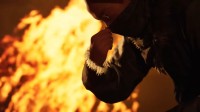 国产UE5抗日新游首个实机演示公开！雪地骑马追火车