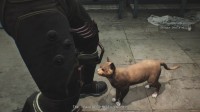 《时间旅者》融入撸猫要素！小猫你可以加入恐怖游戏